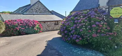 Jardin de l'établissement Ty Braz