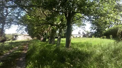 Jardin de l'établissement Petit gîte du Manoir de Keryvoas