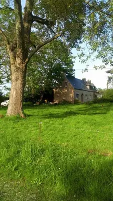 Jardin de l'établissement Petit gîte du Manoir de Keryvoas
