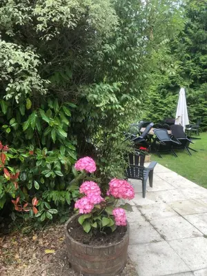 Jardin de l'établissement Farmyard at Kerespars, 3 Houses, Sleeps 30 with pool