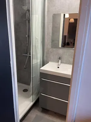 Salle de bains dans l'établissement Appartement Brest proche du centre