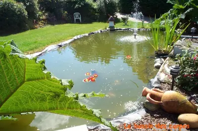 Jardin de l'établissement Ti Gwen charming cottage in Douarnenez Bay