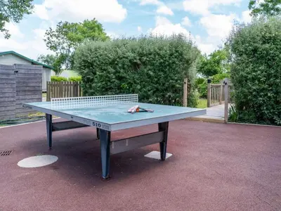 Tennis de table au sein de l'établissement Mobil-home confortable avec terrasse à Tréguennec - API-1-52-1091 ou à proximité