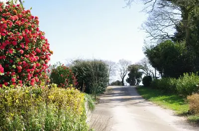 Jardin de l'établissement Ti Nadoziou - Location de vacances pour 3 personnes