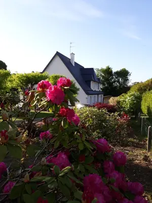 Jardin de l'établissement Chambre dans villa