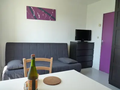 Télévision ou salle de divertissement dans l'établissement Résidence Honoré de Balzac