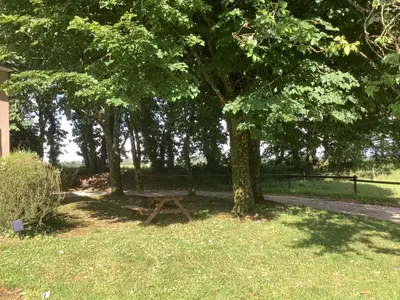 Jardin de l'établissement Gîte Maez 4 pers 29450 sizun