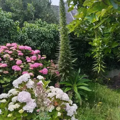 MAISON AVEC JARDIN PROCHE MER